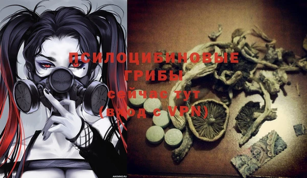 мескалин Майский