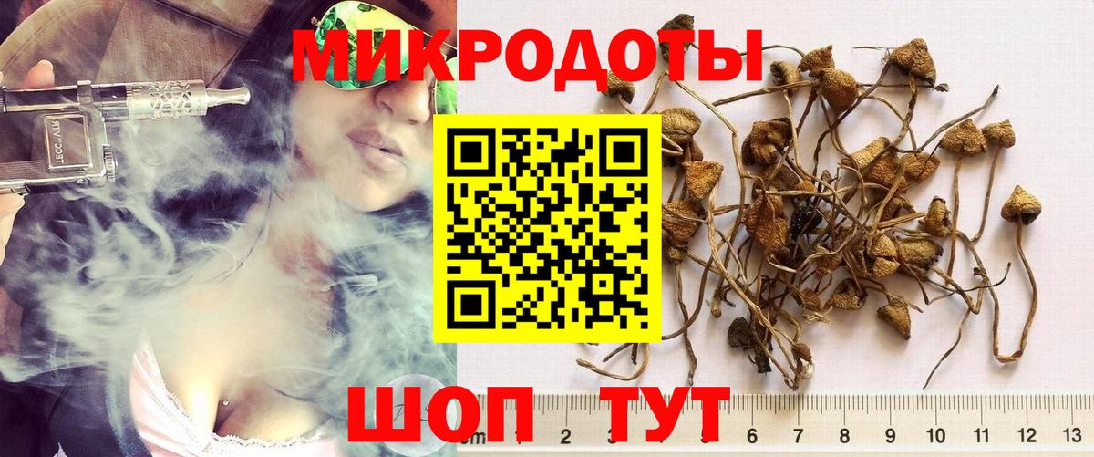 Великий Новгород  Галлюциногенные грибы GOLDEN TEACHER  Вход с VPN 