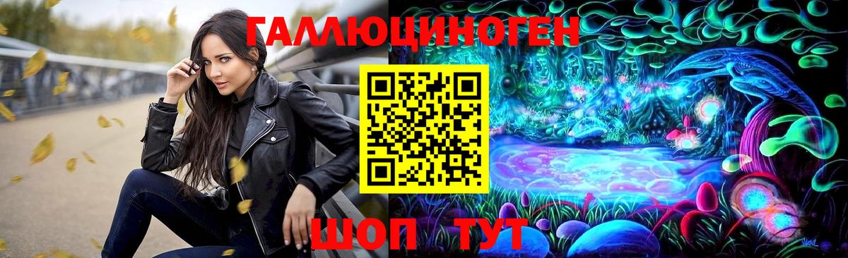 A PVP Великий Новгород