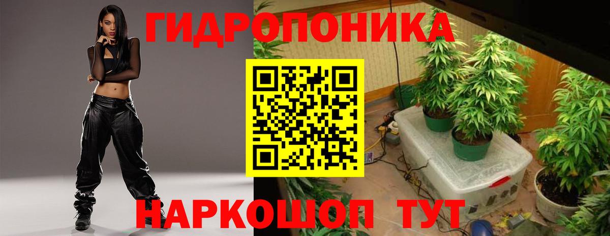 Марихуана LSD WEED  Шишки марихуана OG Kush  Великий Новгород  Каннабис сатива  Каннабис гибрид 